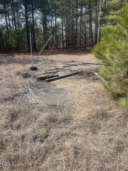 0 North Horace Walters Road Raeford, NC 28376 - Photo 6 of 6 Hoke 7
