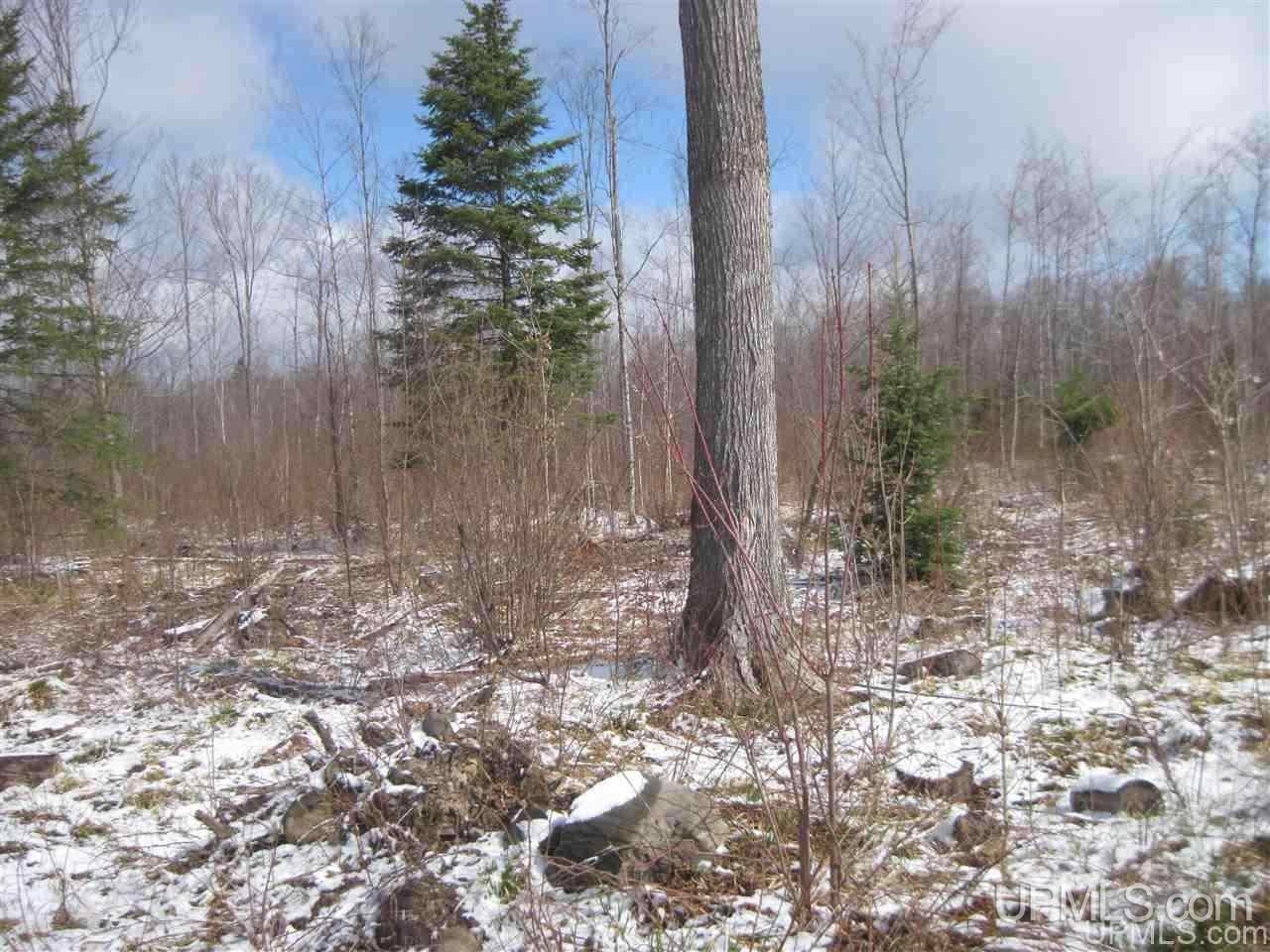 3475 Rd Iron River Iron River, MI 49935 - Photo 6 of 15
