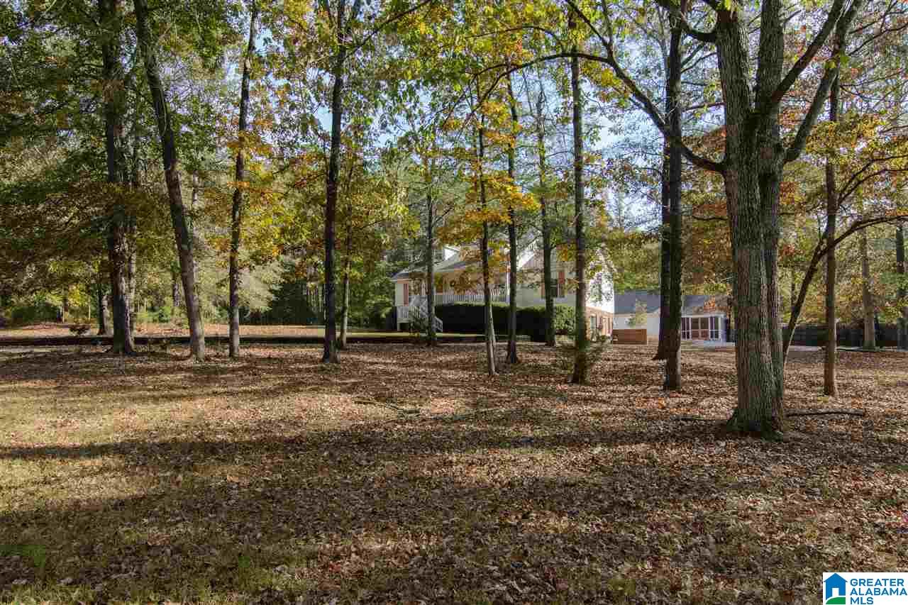2360 Salem Road Montevallo, AL 35115 - Photo 5 of 40