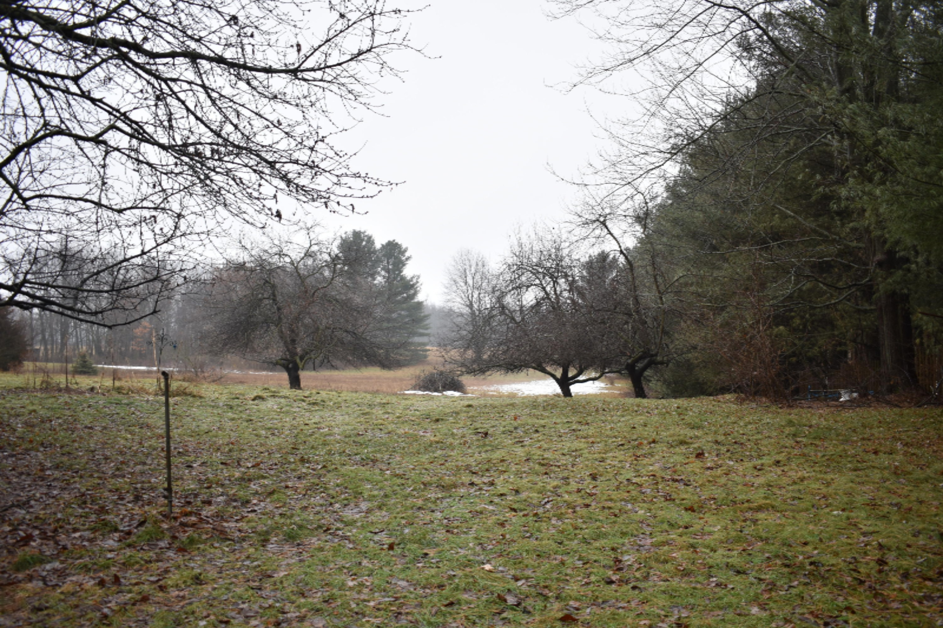 236 10 Mile Road Northwest Sparta, MI 49345 - Photo 1 of 23 back yard