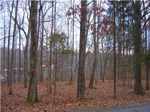 19 Toestring Cove Road Spring City, TN 37381 - Photo 3 of 4 Additional Photo