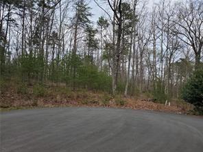 a view of a forest with trees in the background