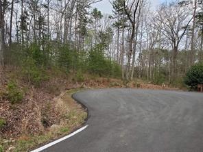 3513 Bear Creek Point Jasper, GA 30143 - Photo 2 of 3 a view of a forest with trees