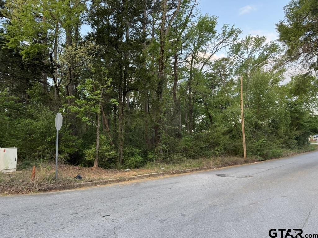 329 Wilma Street Tyler, TX 75701 - Photo 2 of 3