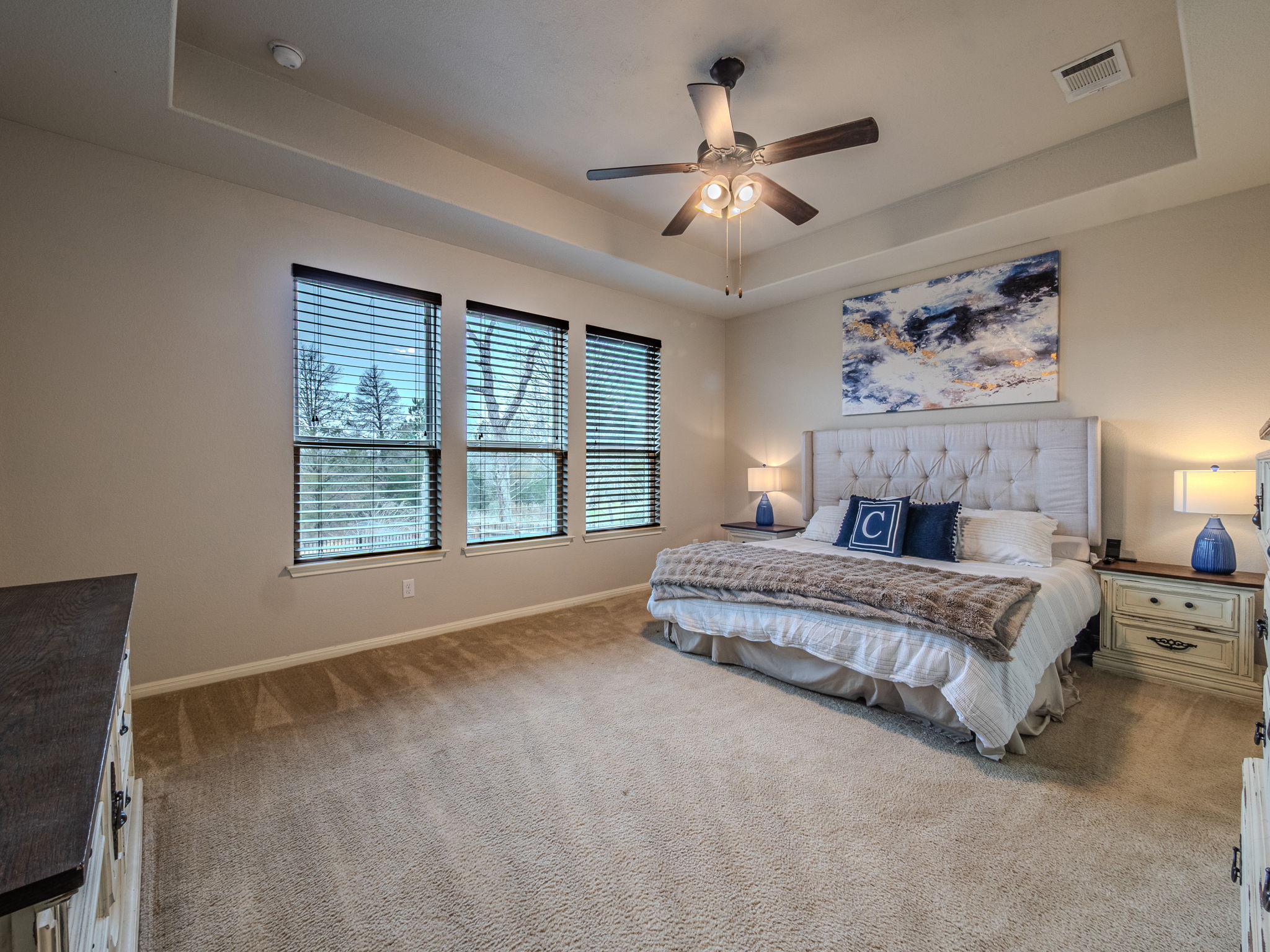 117 Arbor Point Drive Elgin, TX 78621 - Photo 13 of 40 Bedroom with a raised ceiling, carpet, and ceiling fan