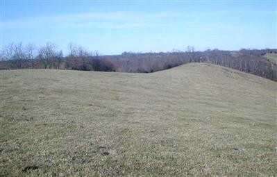 0 Cane Run Road Carlisle, KY 40311 - Photo 5 of 10 Photo 5