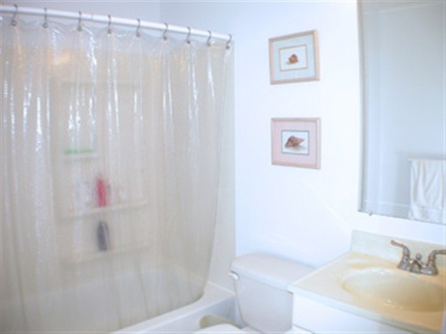 36 Pheasant Drive Sicklerville, NJ 08081 - Photo 3 of 9 a bathroom with a shower curtain and a sink