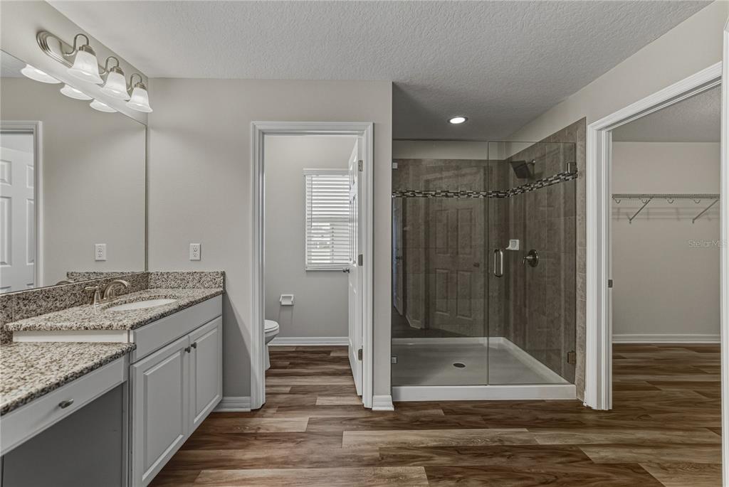 7628 Surf Reed Way Wesley Chapel, FL 33545 - Photo 35 of 76 a bathroom with a granite countertop sink a mirror and a shower