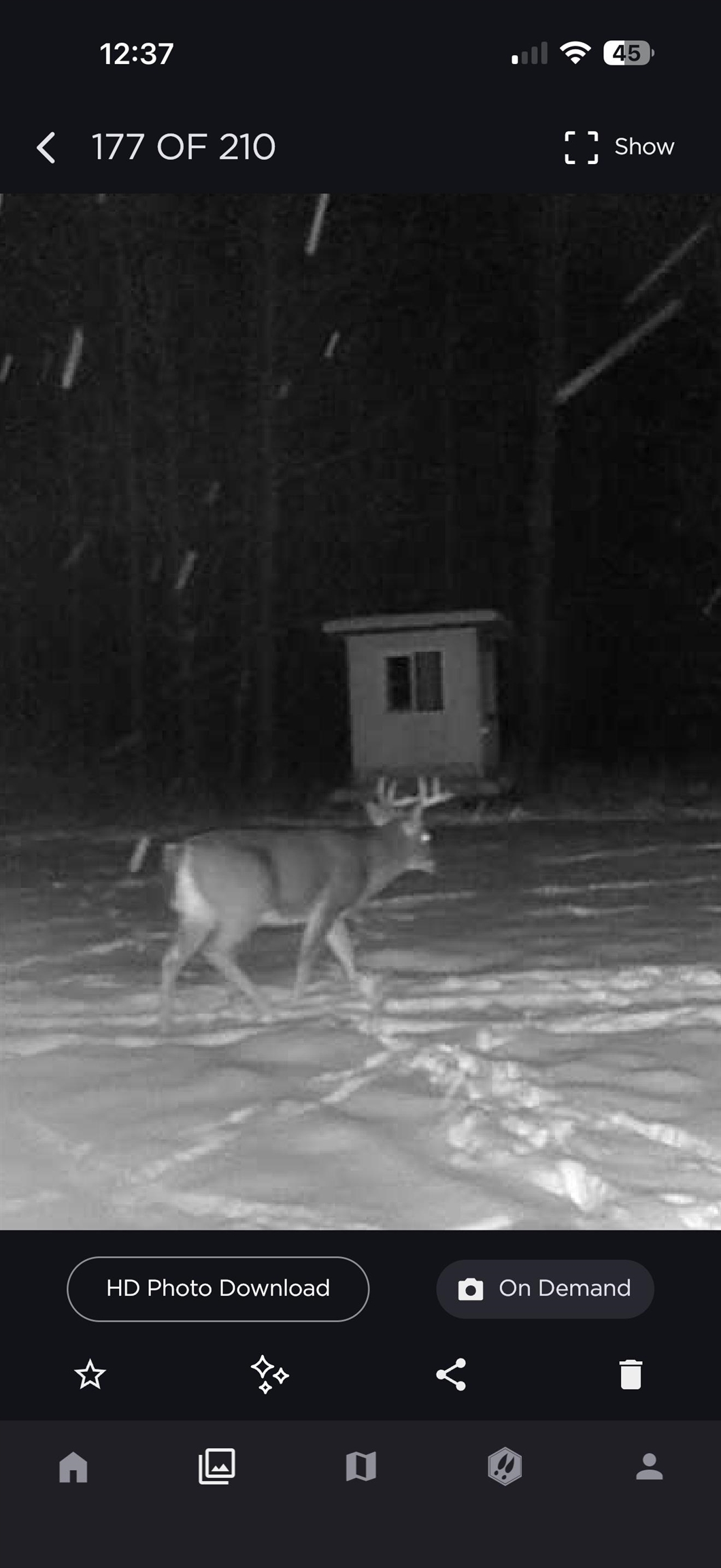438 West Hill Road Lewiston, MI 49756 - Photo 81 of 85