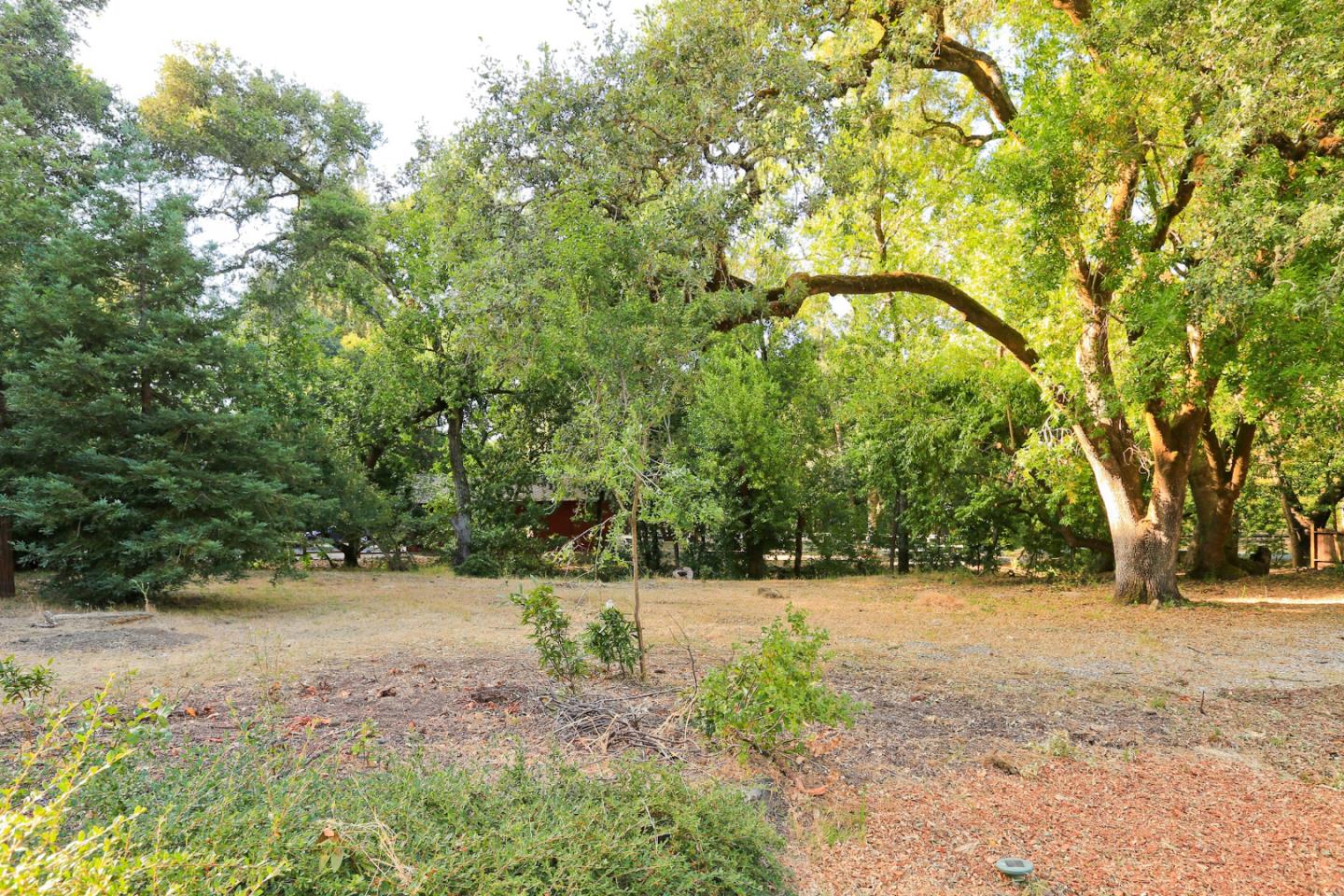 3490 Tripp Road Woodside, CA 94062 - Photo 18 of 22 a view of a yard with trees