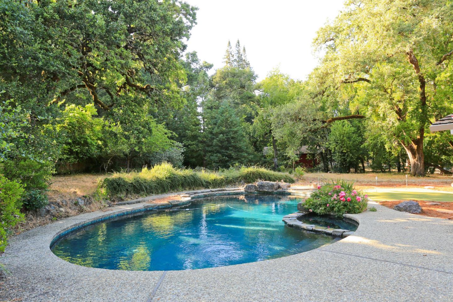 3490 Tripp Road Woodside, CA 94062 - Photo 21 of 22 a view of a swimming pool with lawn chairs under an umbrella