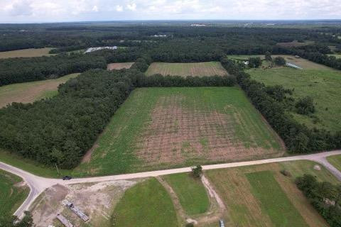 0 Camphorwood Road Vance, SC 29163 - Photo 1 of 4 Main View