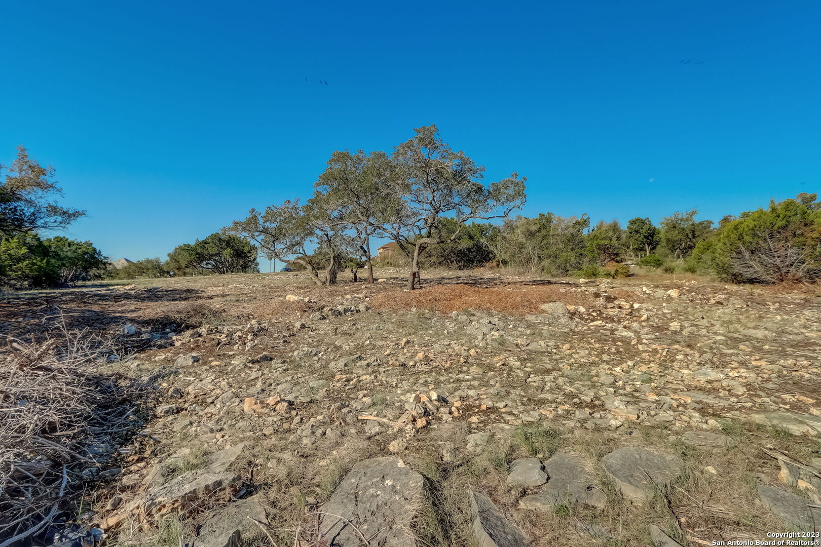 22740 Fossil Ridge San Antonio, TX 78261 - Photo 17 of 18 a view of a dry yard with trees