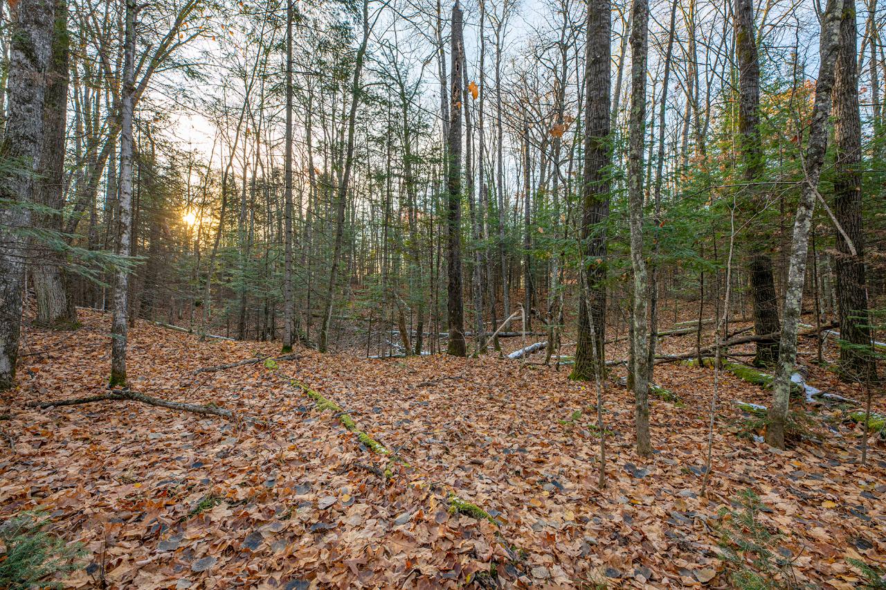On Silver Birch Road Conover, WI 54519 - Photo 2 of 14 Gallery Image 2