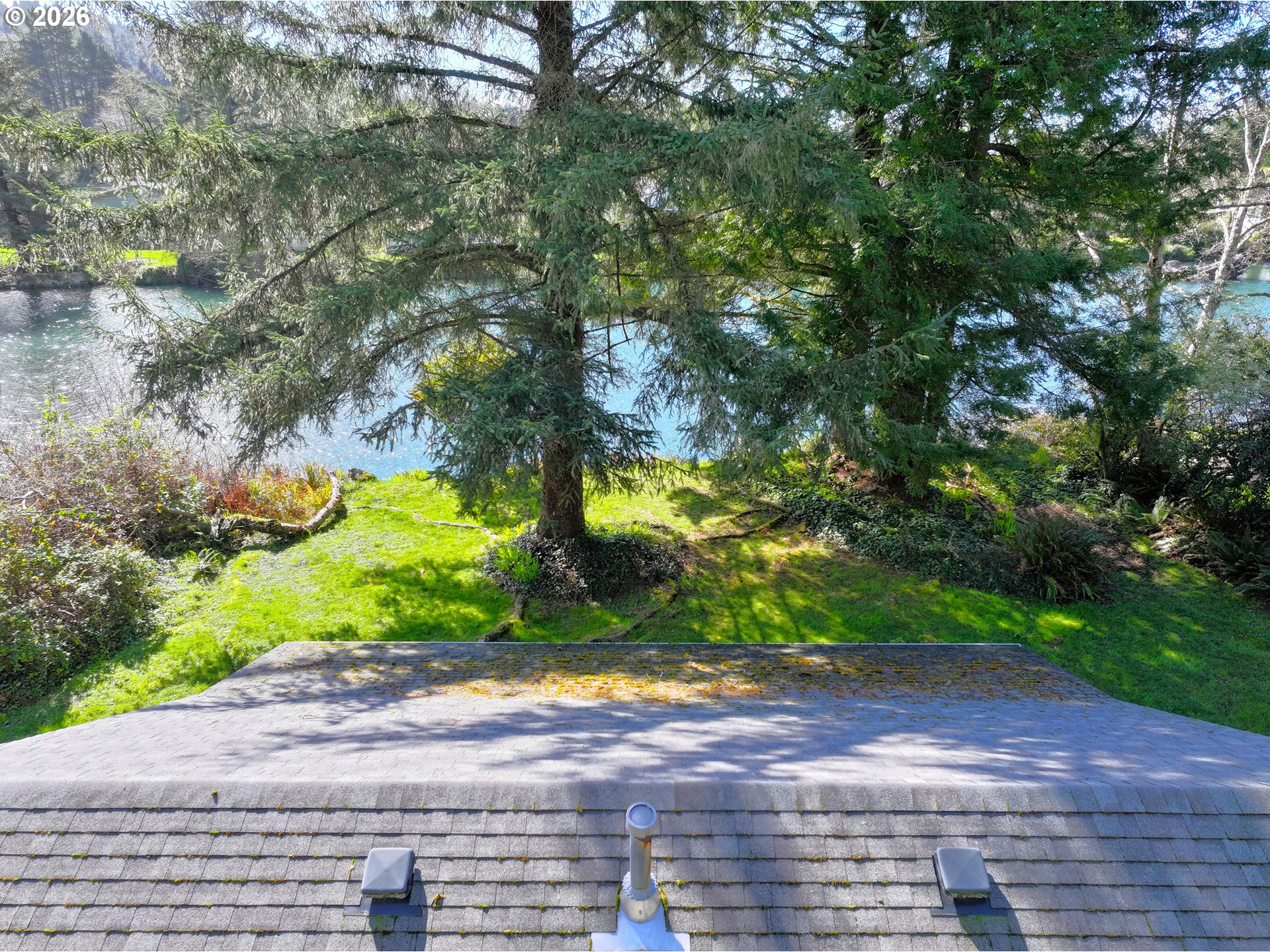 99270 Winchuck River Road Brookings, OR 97415 - Photo 37 of 40 a view of a yard with plants and trees