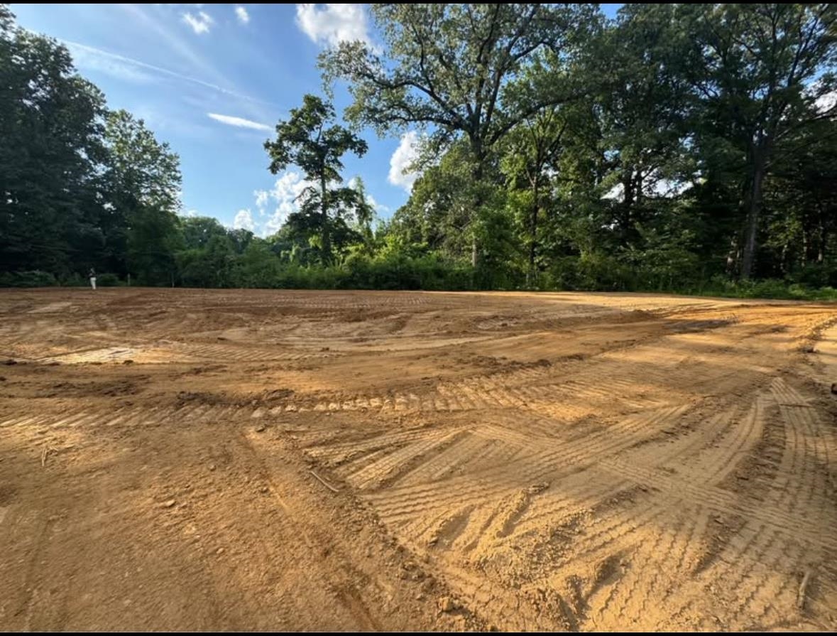 867 East Alcy Road Memphis, TN 38106 - Photo 3 of 6 View of yard