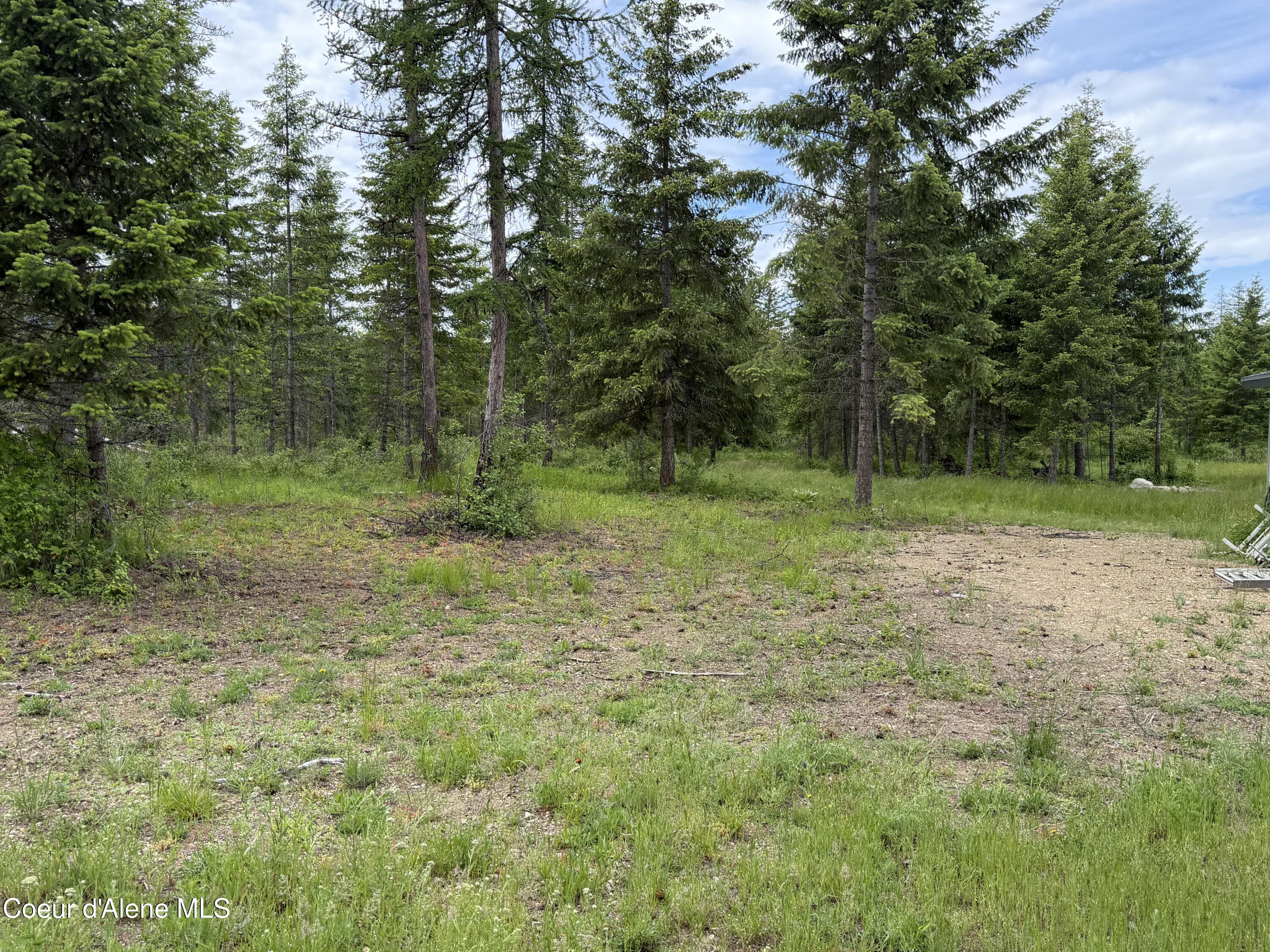 12572 East Parks Road Athol, ID 83801 - Photo 33 of 62 IMG_2553