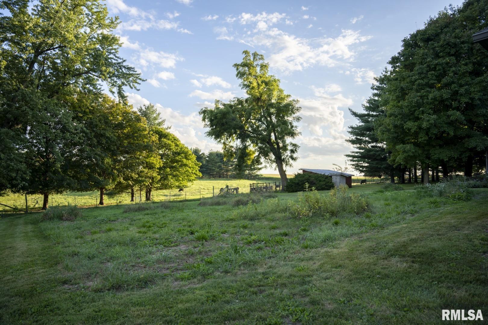 13510 Clary Grove Road Tallula, IL 62688 - Photo 47 of 100 Gallery Image 47