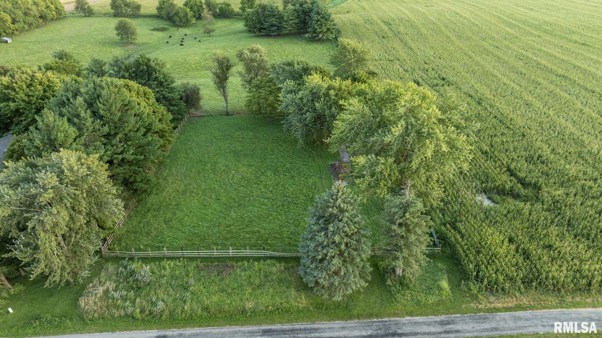 13510 Clary Grove Road Tallula, IL 62688 - Photo 97 of 100 Gallery Image 97