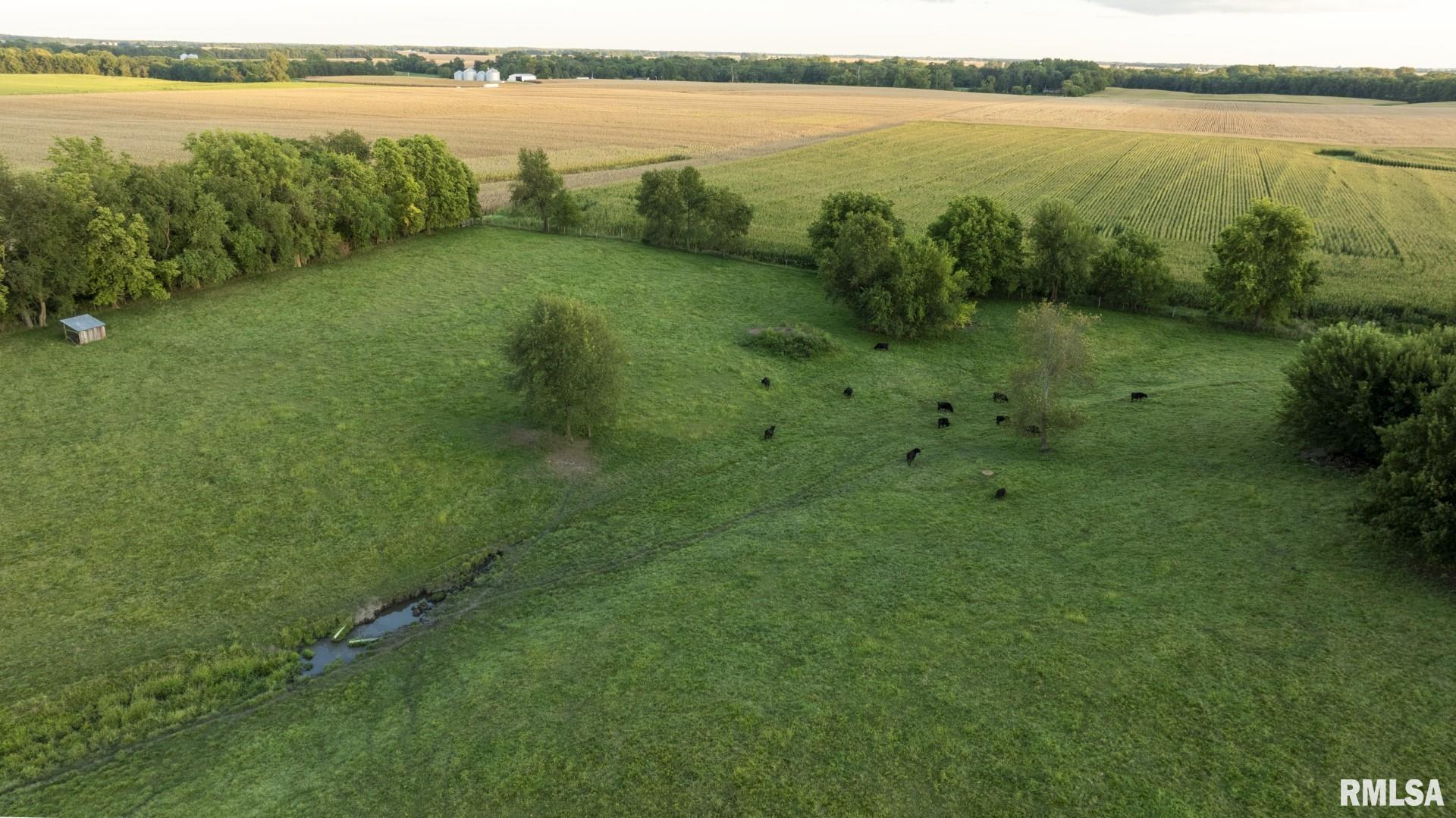 13510 Clary Grove Road Tallula, IL 62688 - Photo 99 of 100 Gallery Image 99