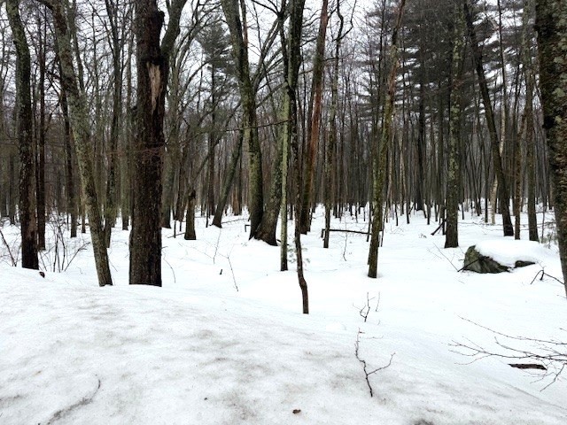 123 Peterson Road Palmer, MA 01069 - Photo 4 of 4