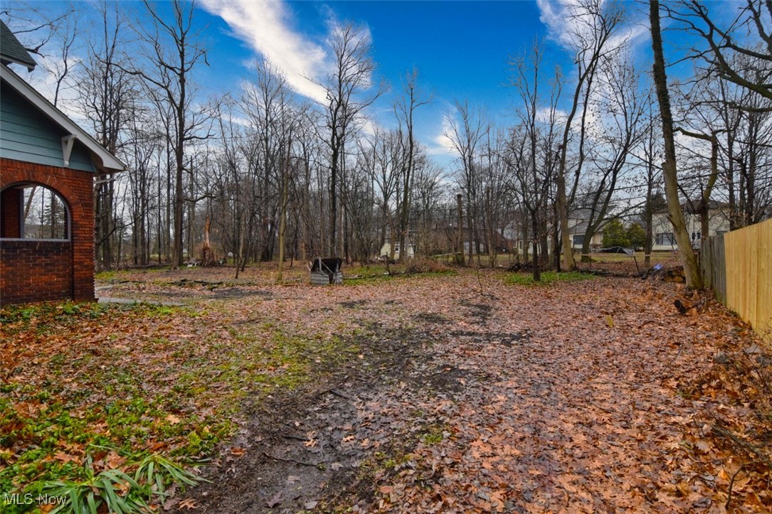 1703 Wood Road Cleveland Heights, OH 44121 - Photo 44 of 45