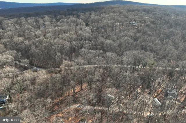 a view of a dry yard