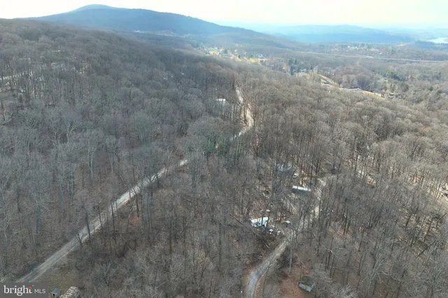 a view of a dry yard