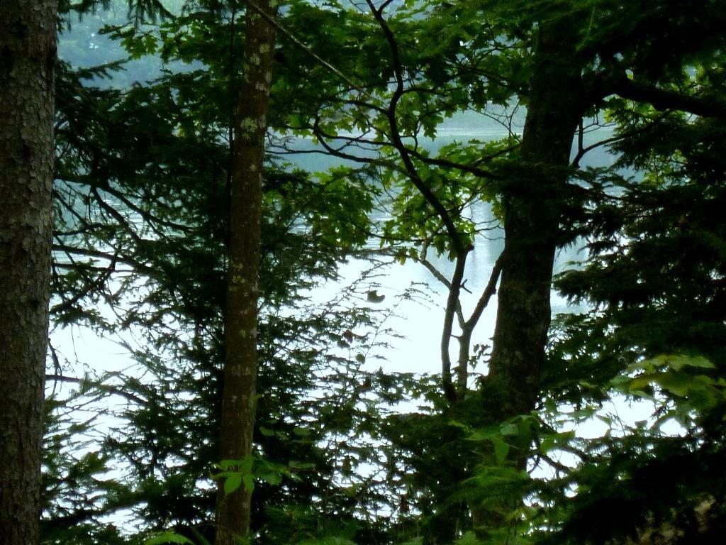 5 Harpswell Neck Road Harpswell, ME 04079 - Photo 5 of 12 Photo