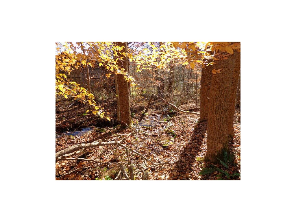 9547 Scott Ridge Road, Unit 10 & 11 Abingdon, VA 24210 - Photo 15 of 16 Photo 15
