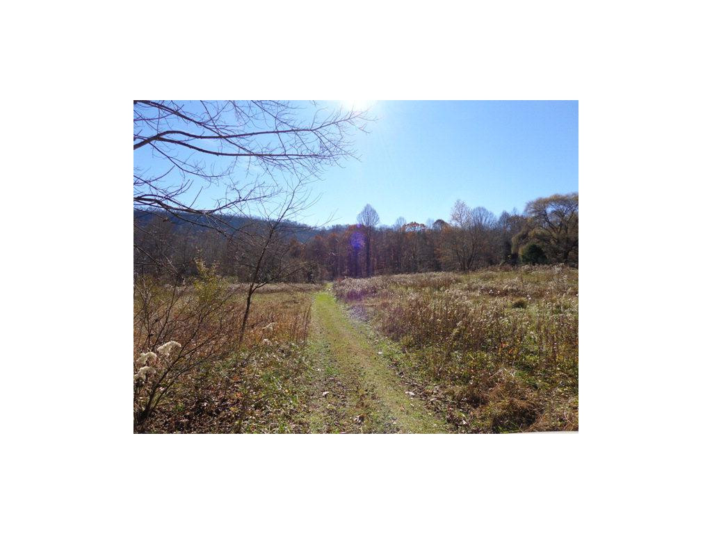 9547 Scott Ridge Road, Unit 10 & 11 Abingdon, VA 24210 - Photo 16 of 16 Photo 16
