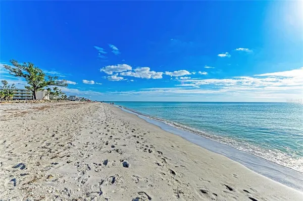 a view of a backyard of a house