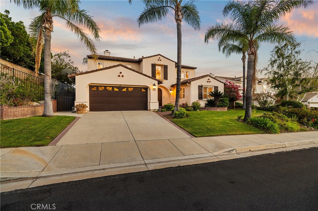 Beautiful curb appeal with mature palms and welcoming entry