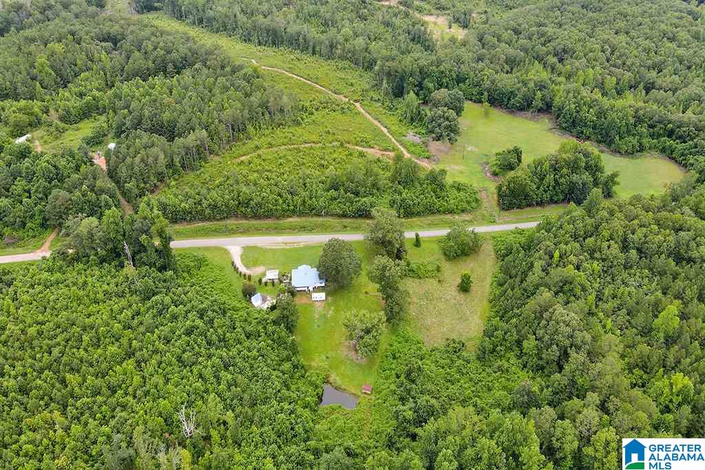 3464 County Road 29 Heflin, AL 36264 - Photo 32 of 34