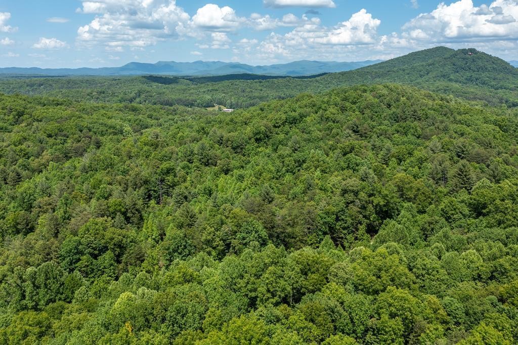 20 Pack Mountain Road Murphy, NC 28906 - Photo 15 of 20 Gallery Image 15