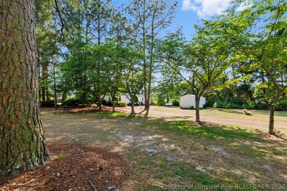310 Canady Street Fayetteville, NC 28306 - Photo 50 of 50 a view of a tree in a yard