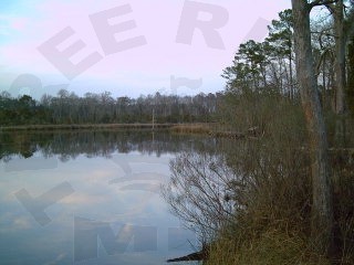 42 Treasure Point Road Bath, NC 27808 - Photo 1 of 1 Primary Photo