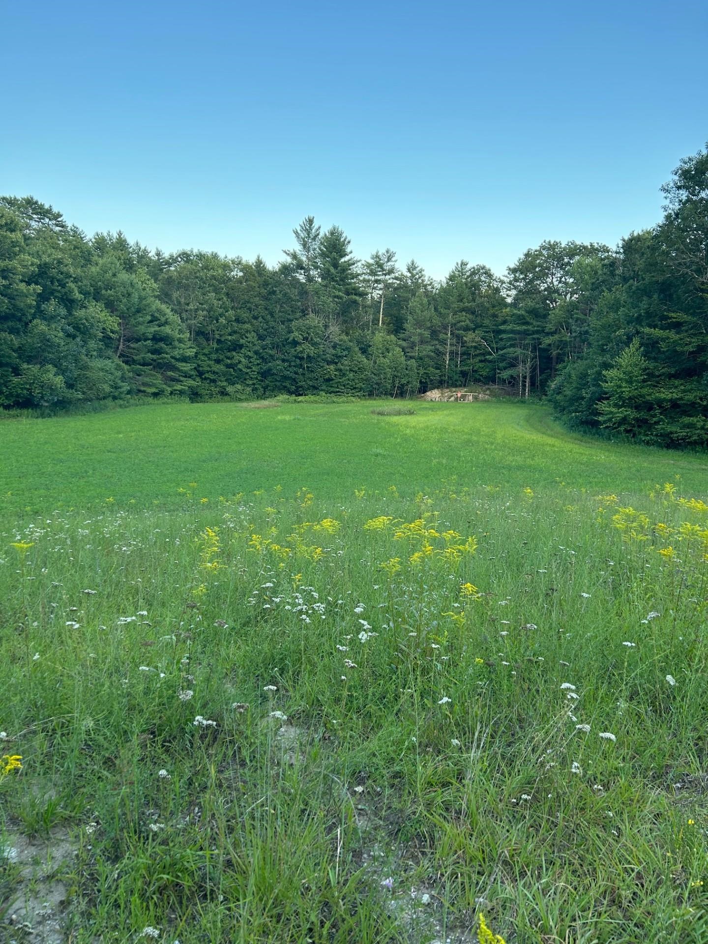 298 Battle Street Webster, NH 03303 - Photo 18 of 25
