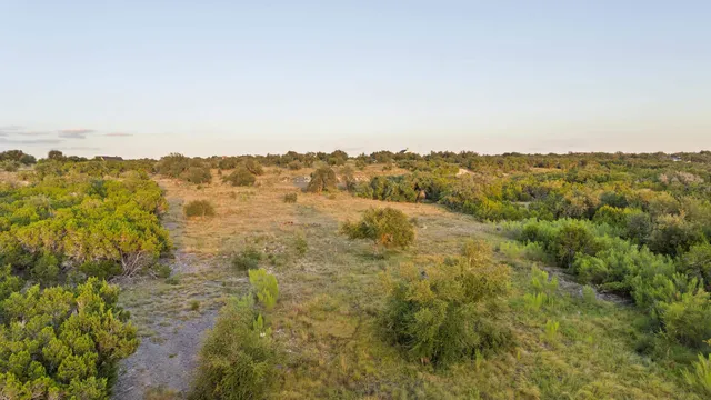 an aerial view of houses covered in trees