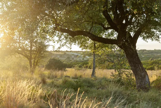 $336,000 | 68 West Leaning Madrone Drive, Johnson City, TX 78636