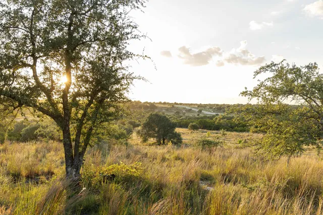 $336,000 | 68 West Leaning Madrone Drive, Johnson City, TX 78636