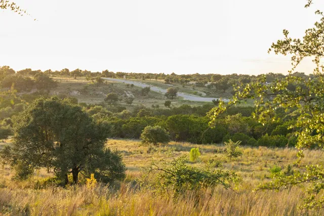 $336,000 | 68 West Leaning Madrone Drive, Johnson City, TX 78636