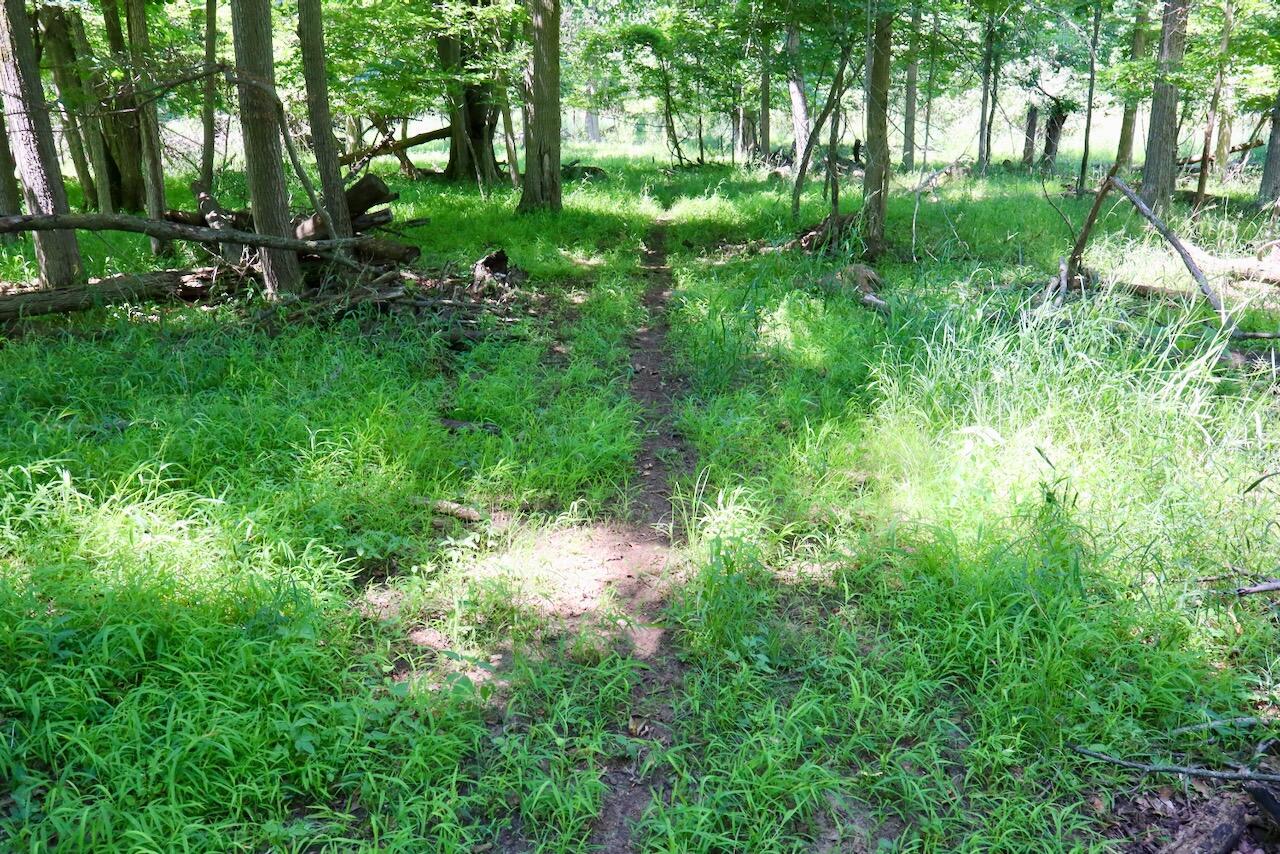 St-johns North Scott Road St. Johns, MI 48879 - Photo 6 of 41 005