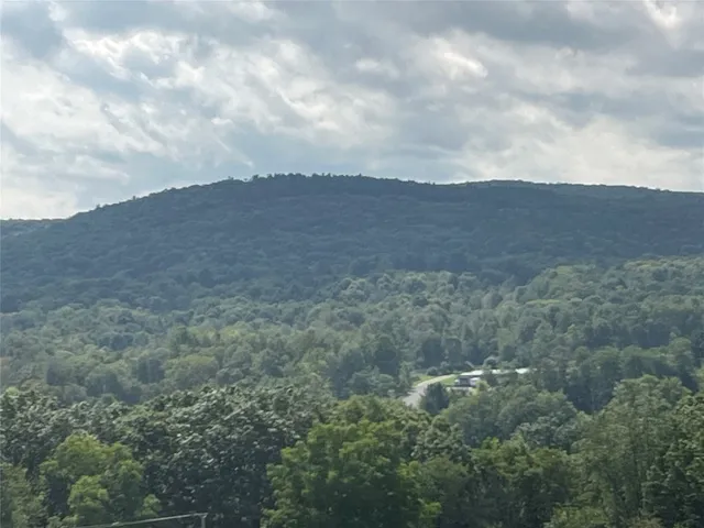 $265,000 | 228 Valley View Drive, Endicott, NY 13760