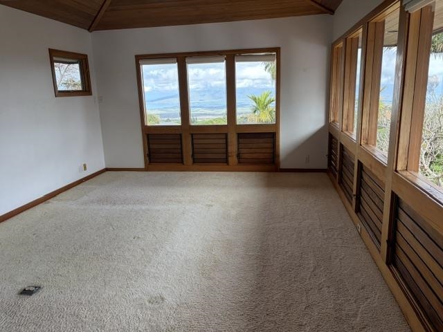 767 Holopuni Road Kula, HI 96790 - Photo 9 of 9