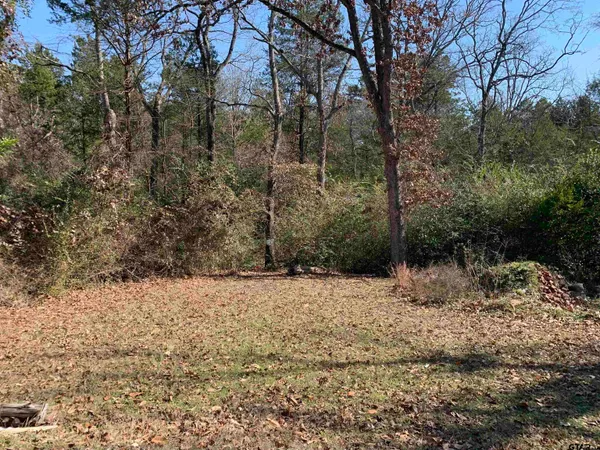 a view of a yard covered in snow
