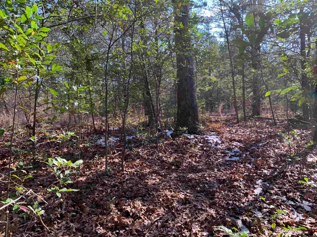 $38,500 | 911 West Cayuga Drive, Athens, TX 75751