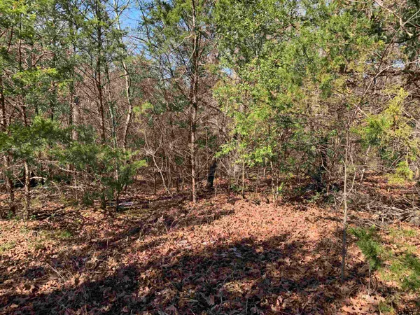 $38,500 | 911 West Cayuga Drive, Athens, TX 75751