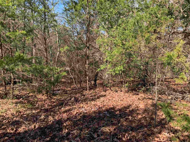 $38,500 | 911 West Cayuga Drive, Athens, TX 75751