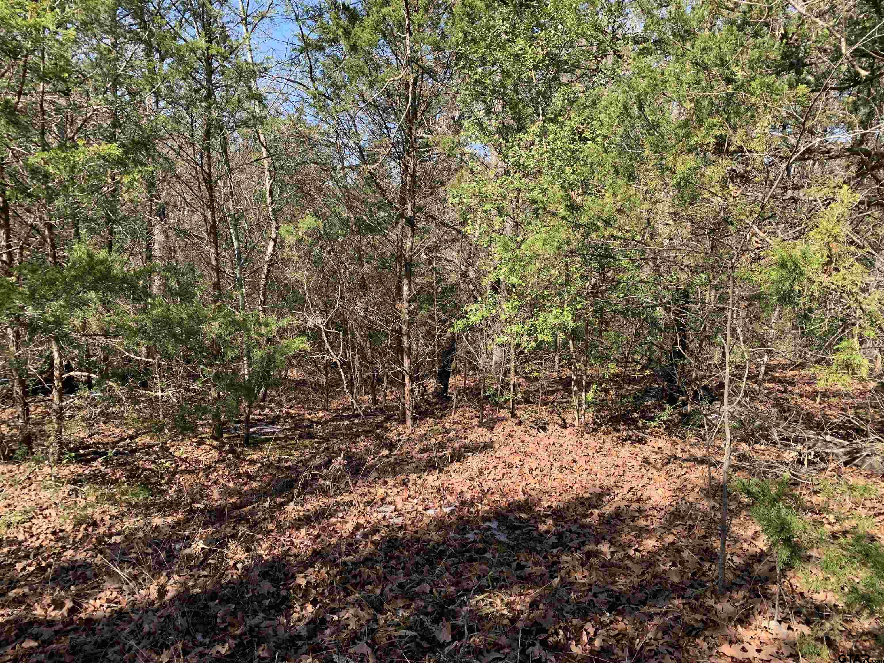 911 West Cayuga Drive Athens, TX 75751 - Photo 9 of 9